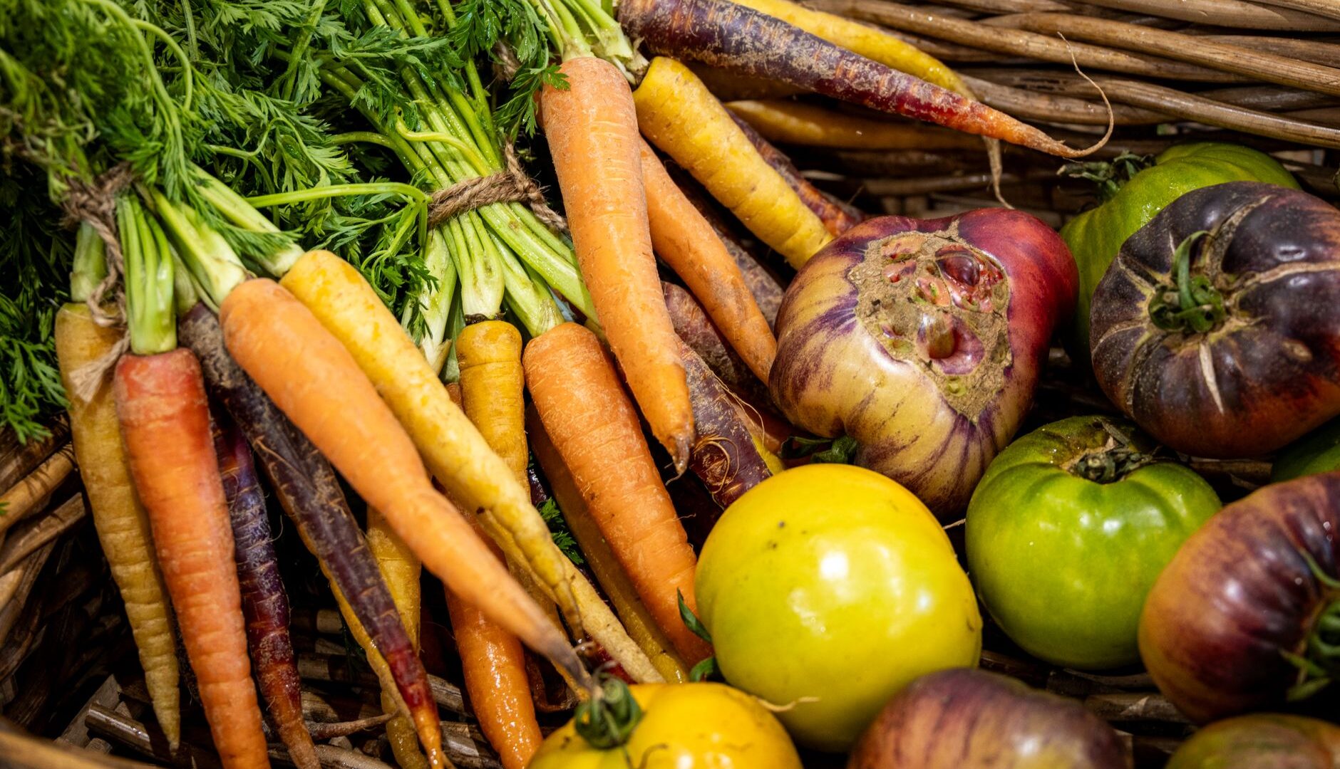 Sostenibilità in cucina: i nuovi standard eco-friendly nella ristorazione italiana nel 2026