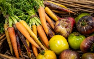 Sostenibilità in cucina: i nuovi standard eco-friendly nella ristorazione italiana nel 2026