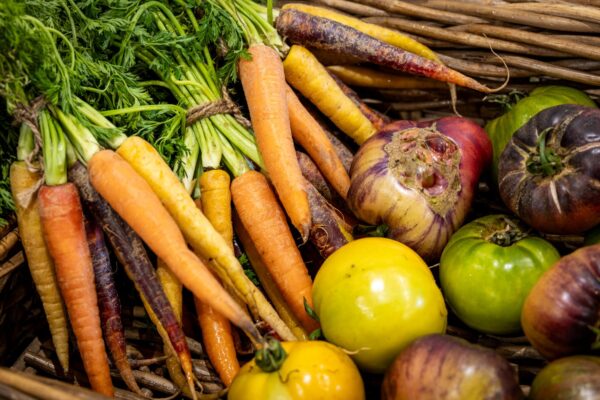 Sostenibilità in cucina: i nuovi standard eco-friendly nella ristorazione italiana nel 2026