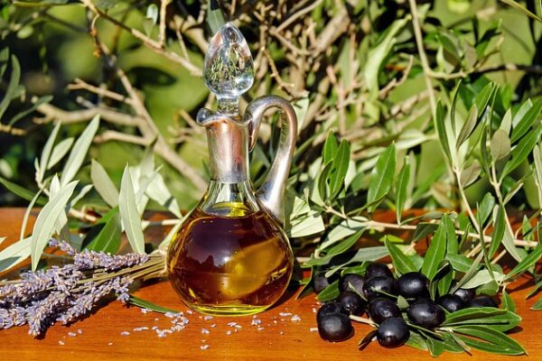 I frantoi storici d’Italia: dove l’olio è cultura millenaria