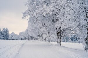 Viaggiare in Italia d’inverno con bambini: attività e mete