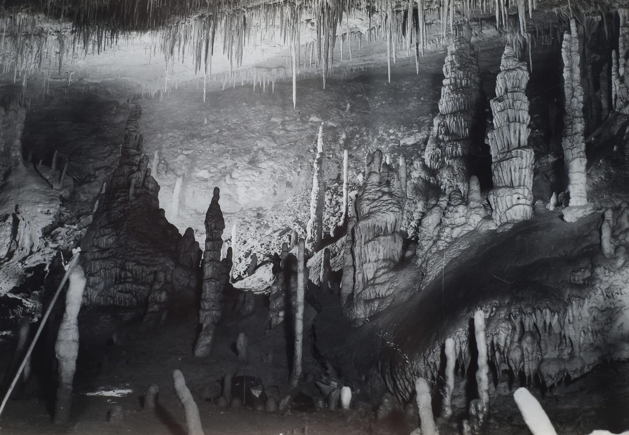 Grotta Gigante di Trieste