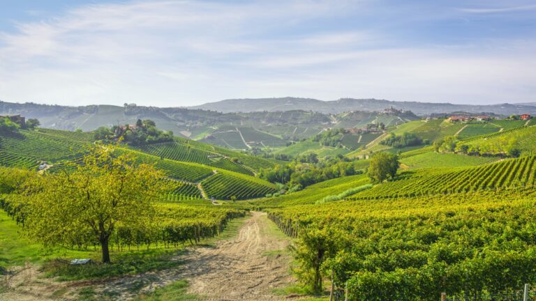 alba piemonte