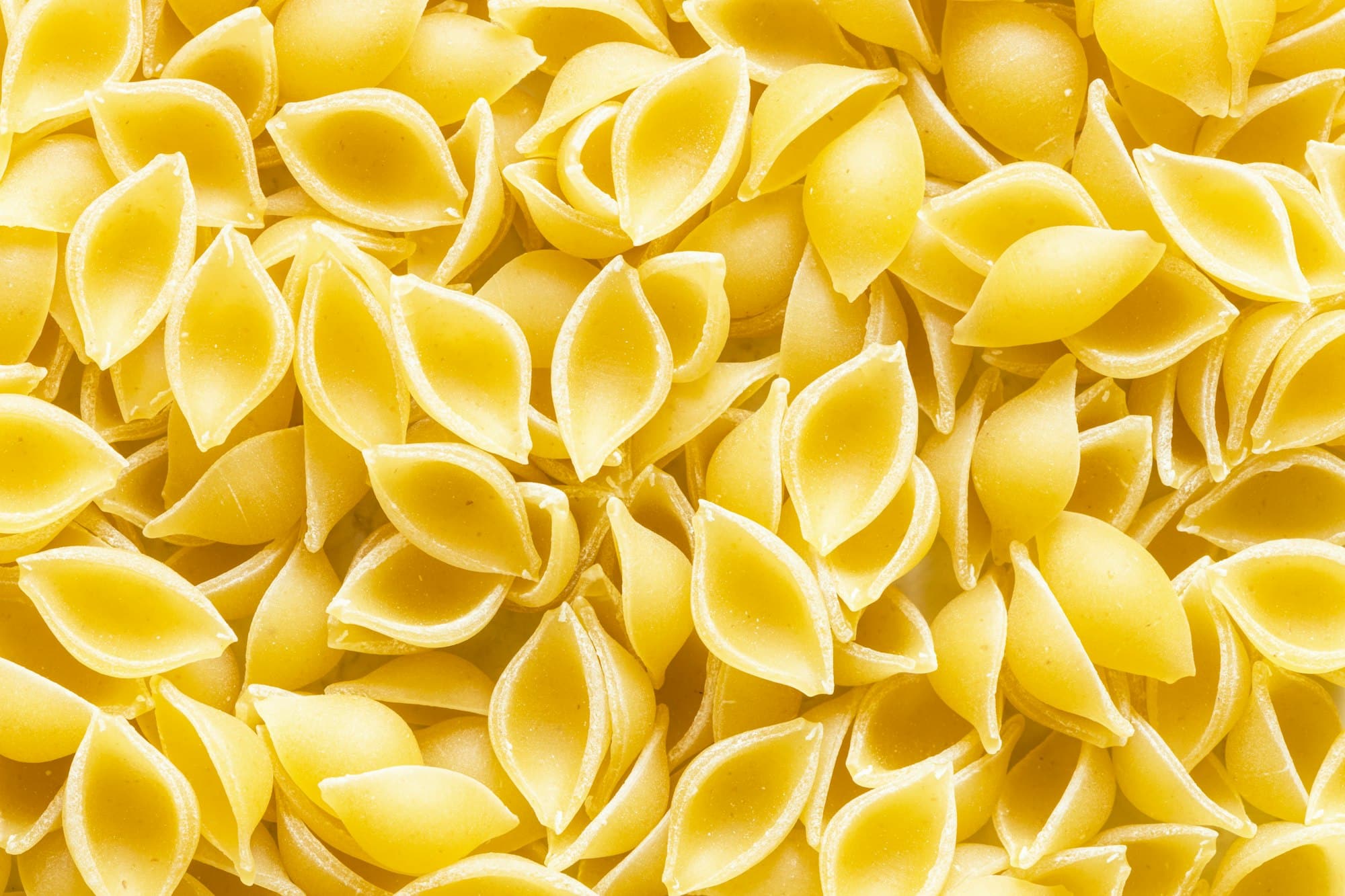 Pasta Conchiglie