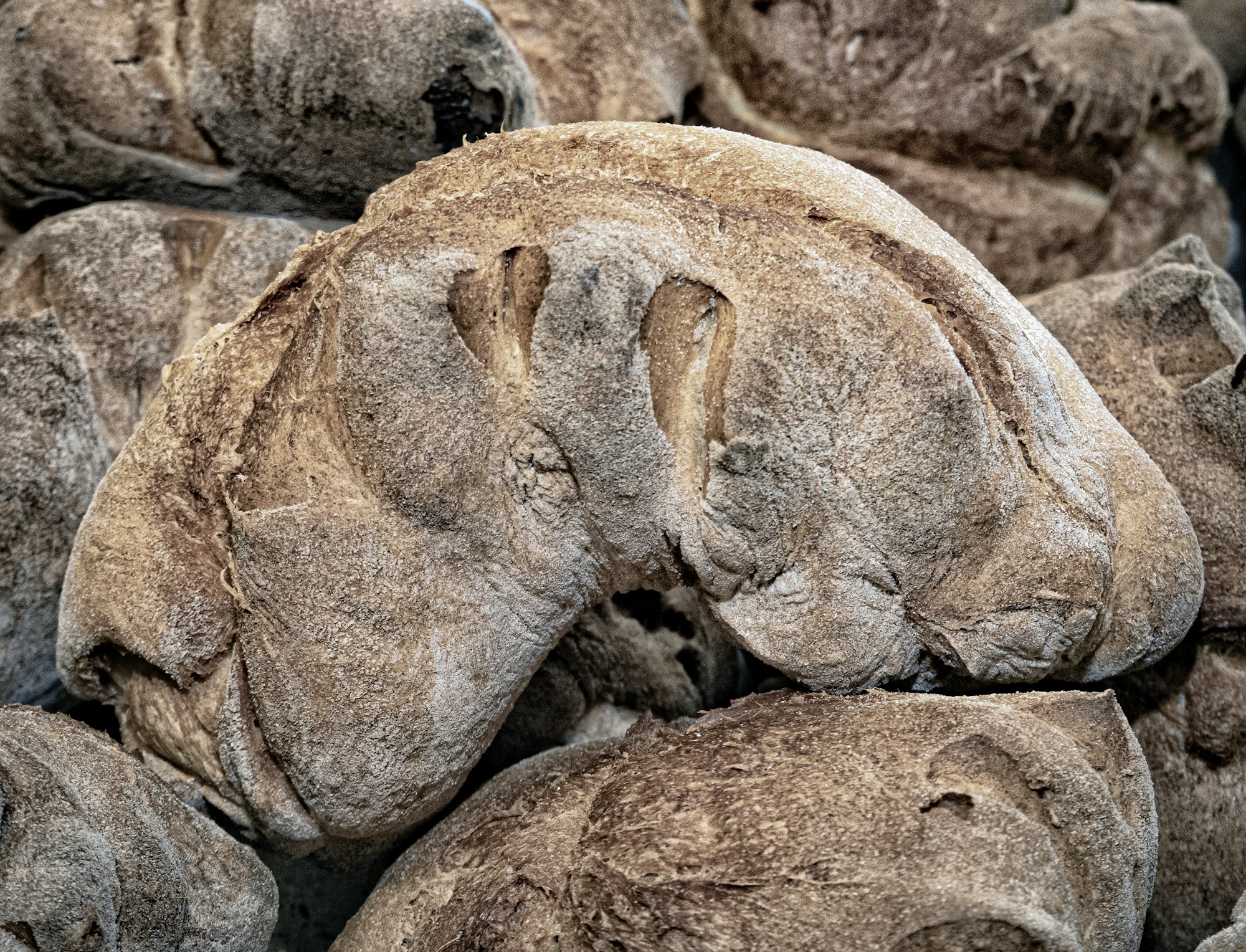 Pane di Matera