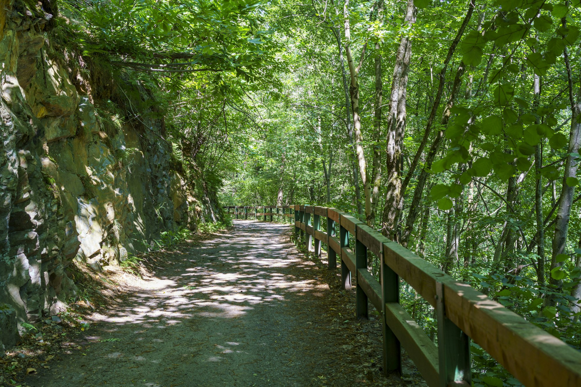 Sentiero della Valtellina, Italia, pista ciclabile nella foresta