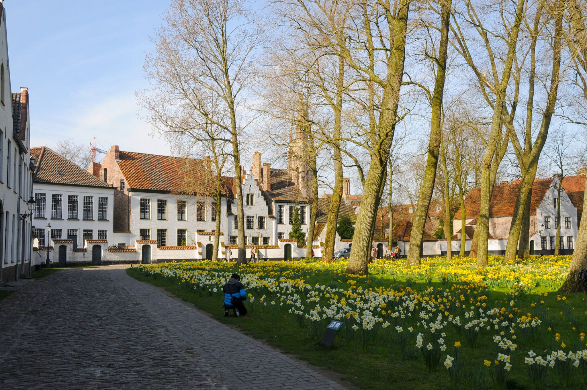 带有花圃和历史古宅的 Beguinage。