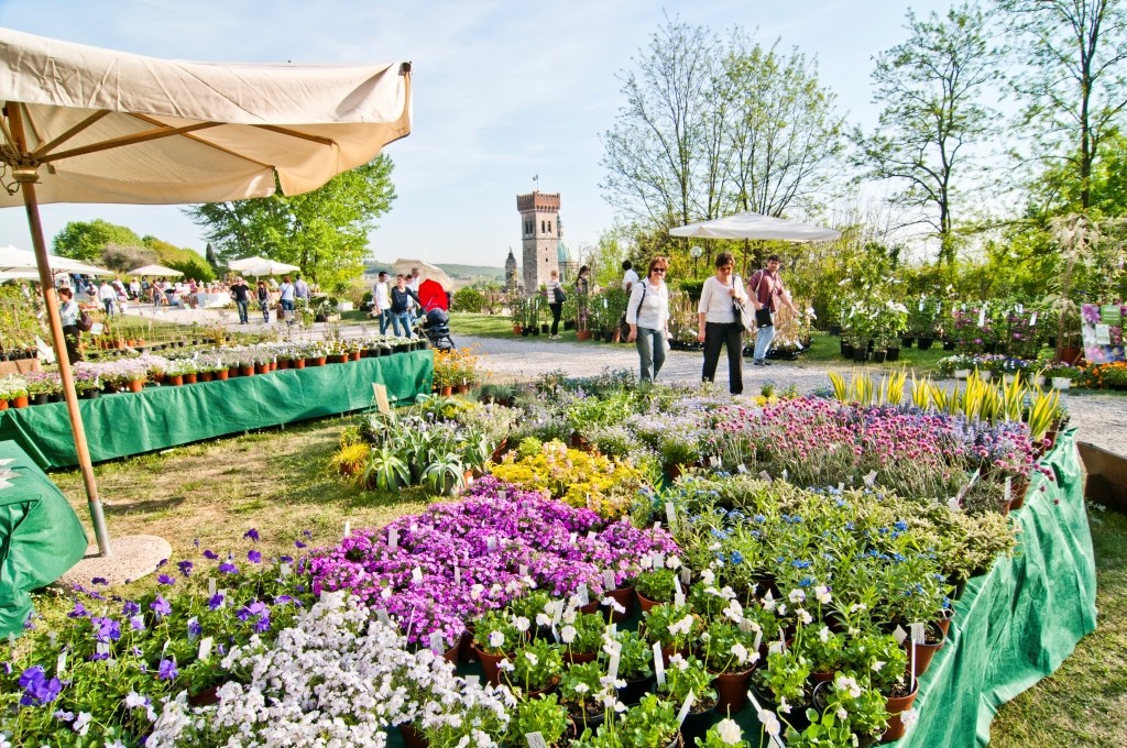 Fiera dei fiori e piante, visitatori all'aperto.