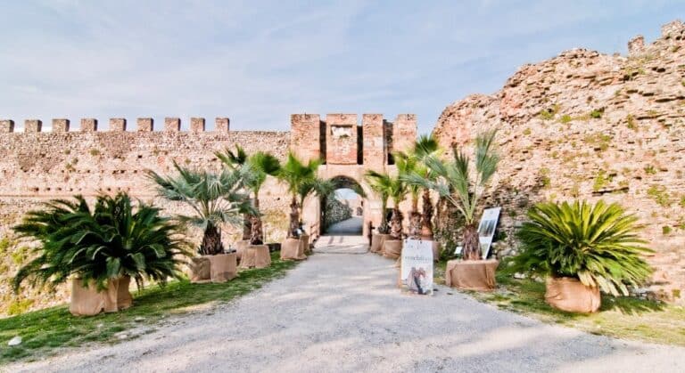 Forteresse médiévale avec palmiers et chemin de gravier.