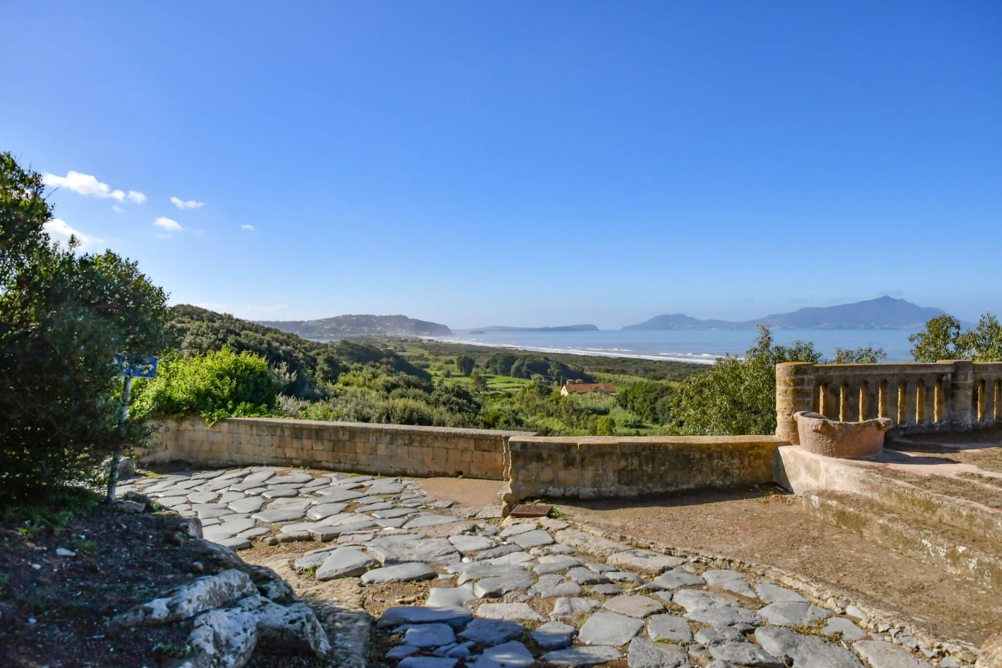 Paesaggio costiero con vegetazione e cielo azzurro.