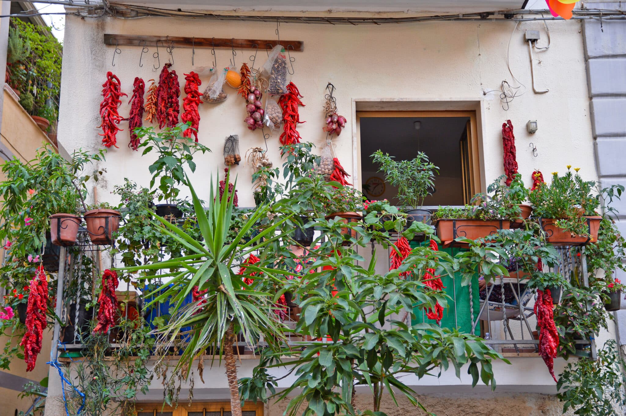 Il balcone con piante di peperoncino in una casa nella cittadina di Diamante, in Calabria