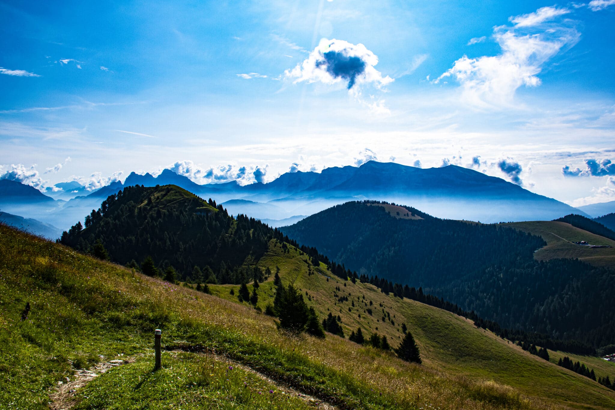 Il sentiero dei fiori al passo Brocon numero tre. Il sentiero dei fiori al Passo Brocon nel complesso del Lagorai sull'altopiano del Tresino in provincia di Trento