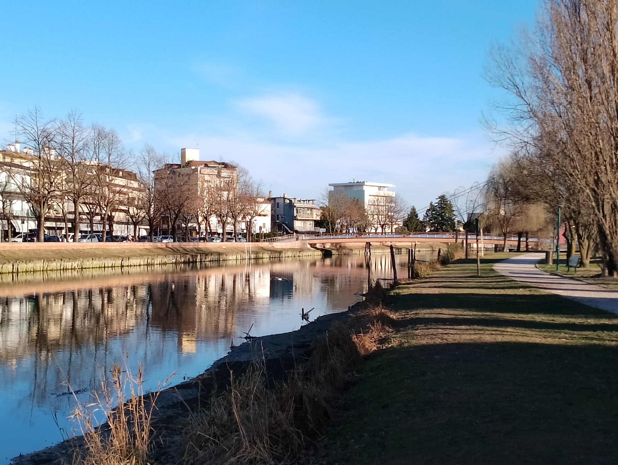 Natura a Jesolo paese prov di Venezia Italia