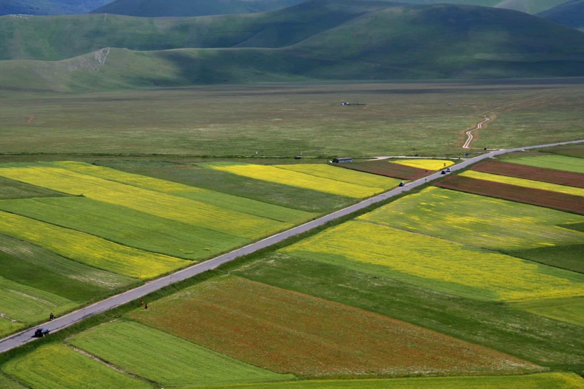 卡斯泰卢基奥春季景观在意大利翁布里亚的 Castelluccio di Norcia 附近拍摄的春季景观