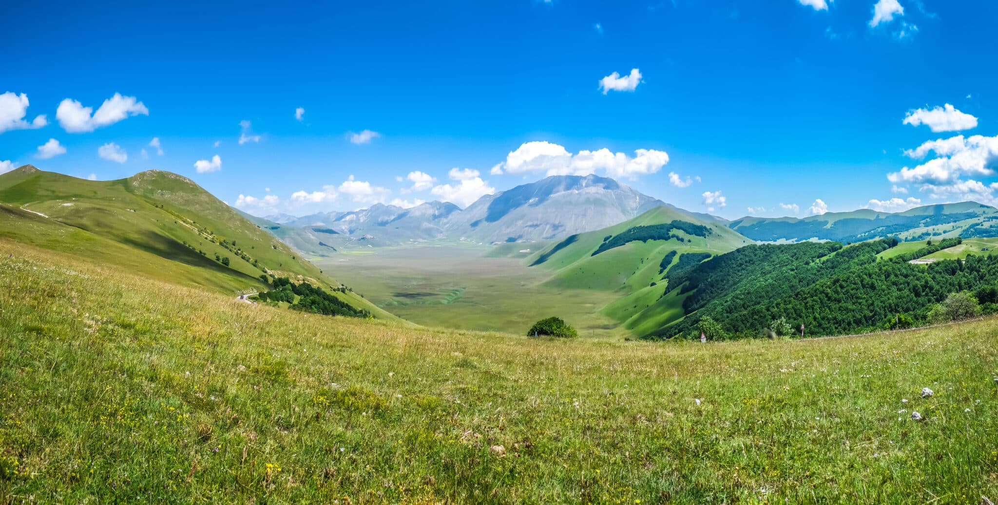 意大利翁布里亚皮亚诺格兰德的夏季景观。意大利翁布里亚 Castelluccio di Norcia 亚平宁山脉皮亚诺格兰德高原上美丽的夏季景观。
