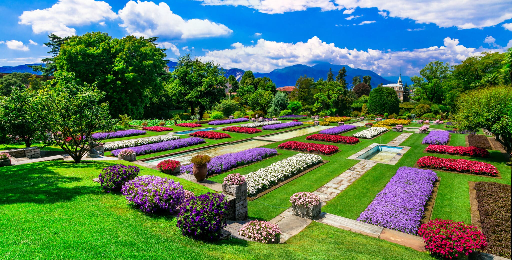 Giardino fiorito con piante colorate e cielo sereno.