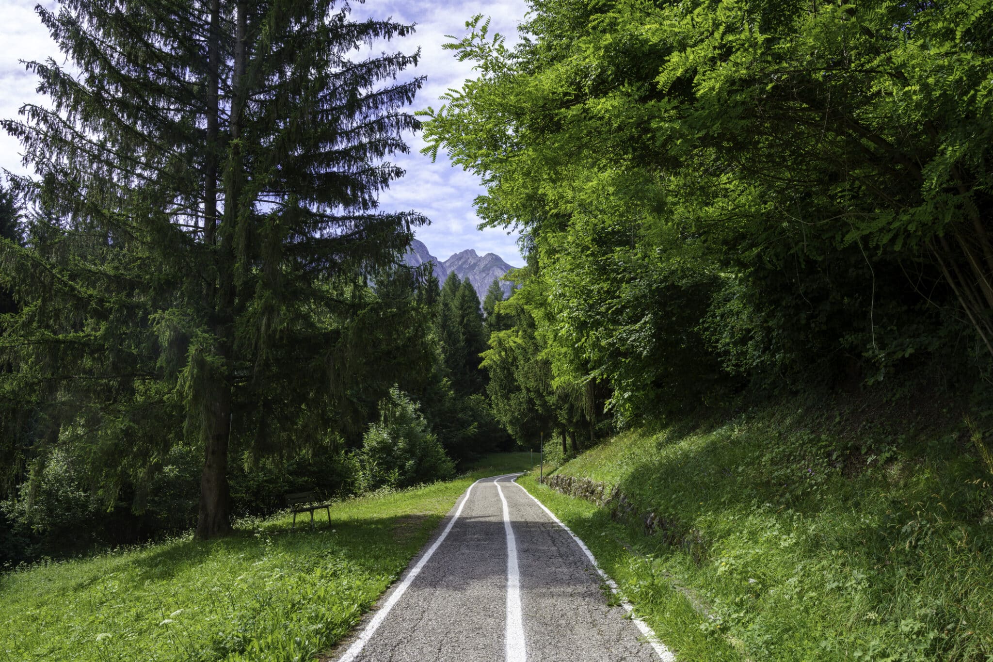 地平线上群山环抱的森林公路