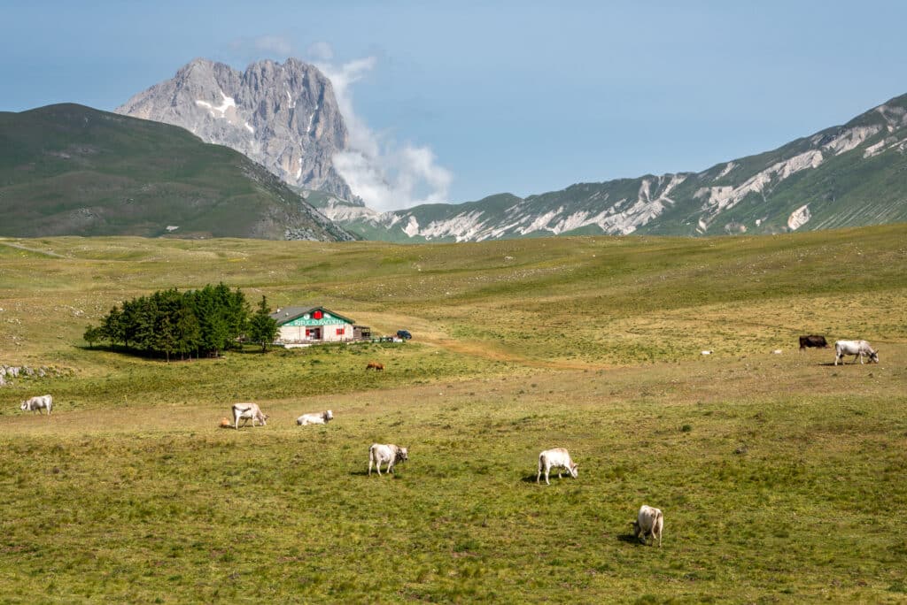 格兰萨索和德拉拉加山国家公园