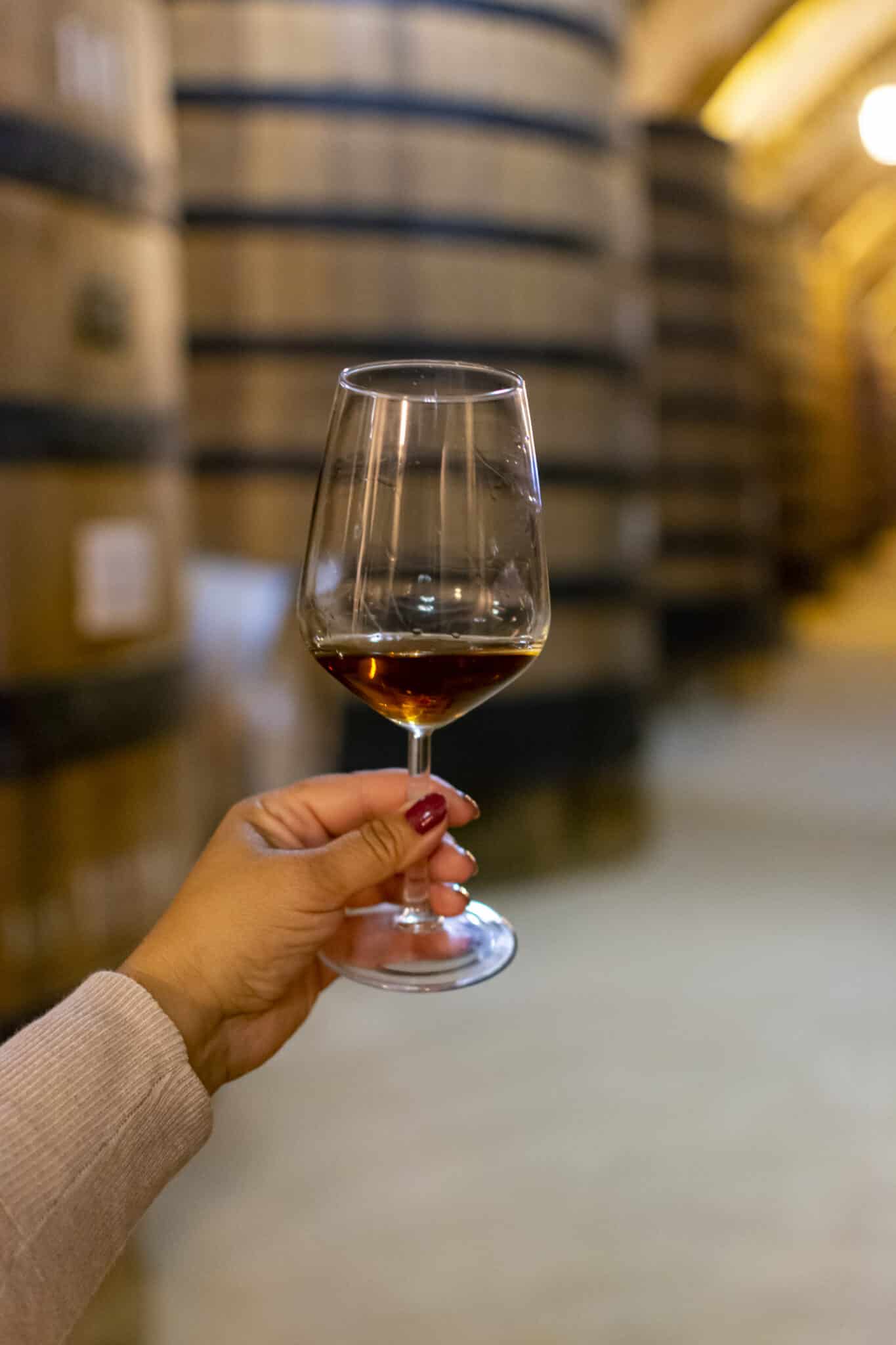 Calice di vino in cantina con botti