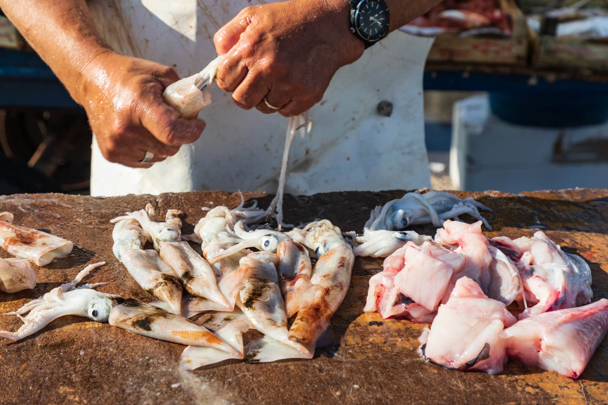 Persona che pulisce calamari su banco del mercato