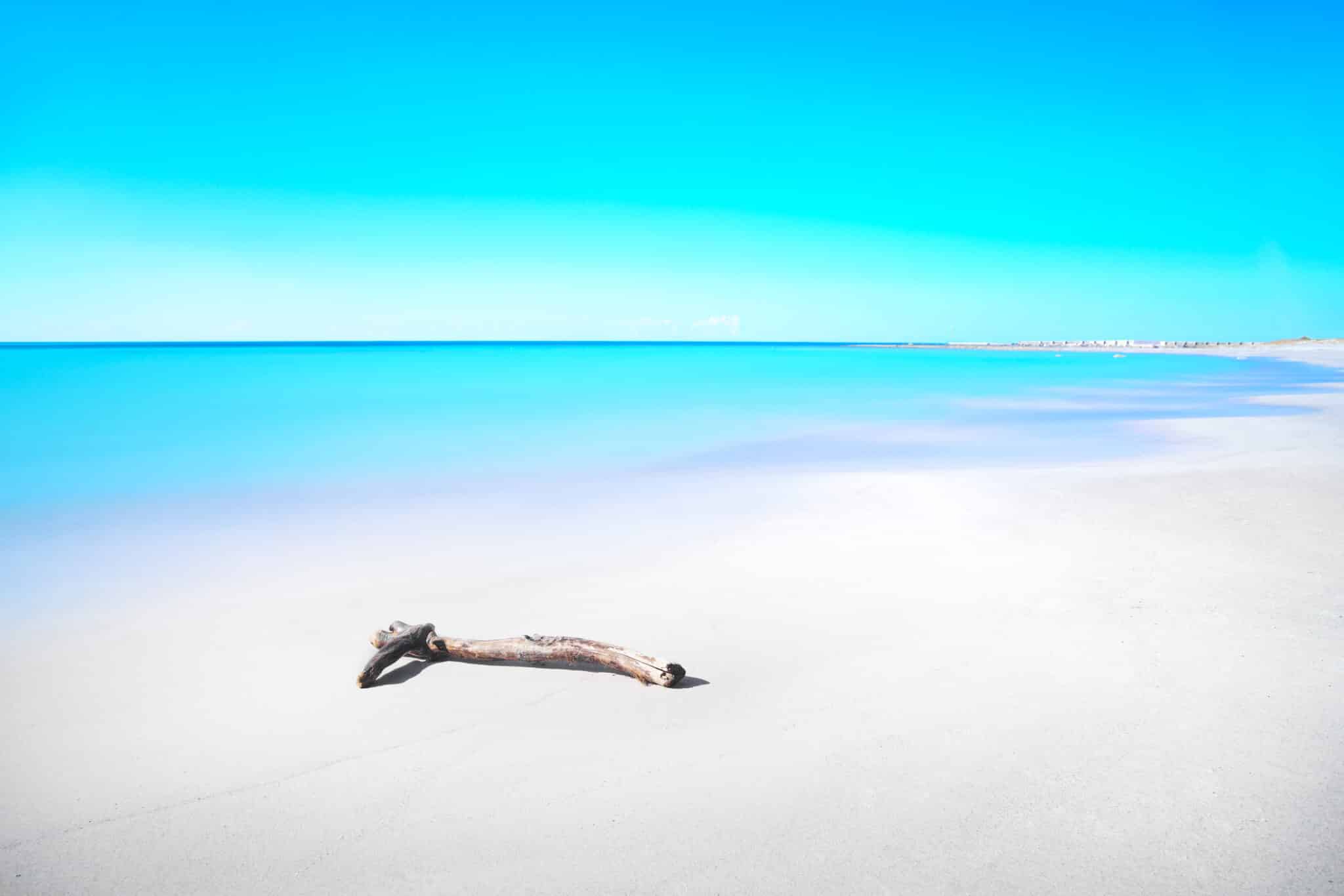 Spiaggia tranquilla con tronco su sabbia fine