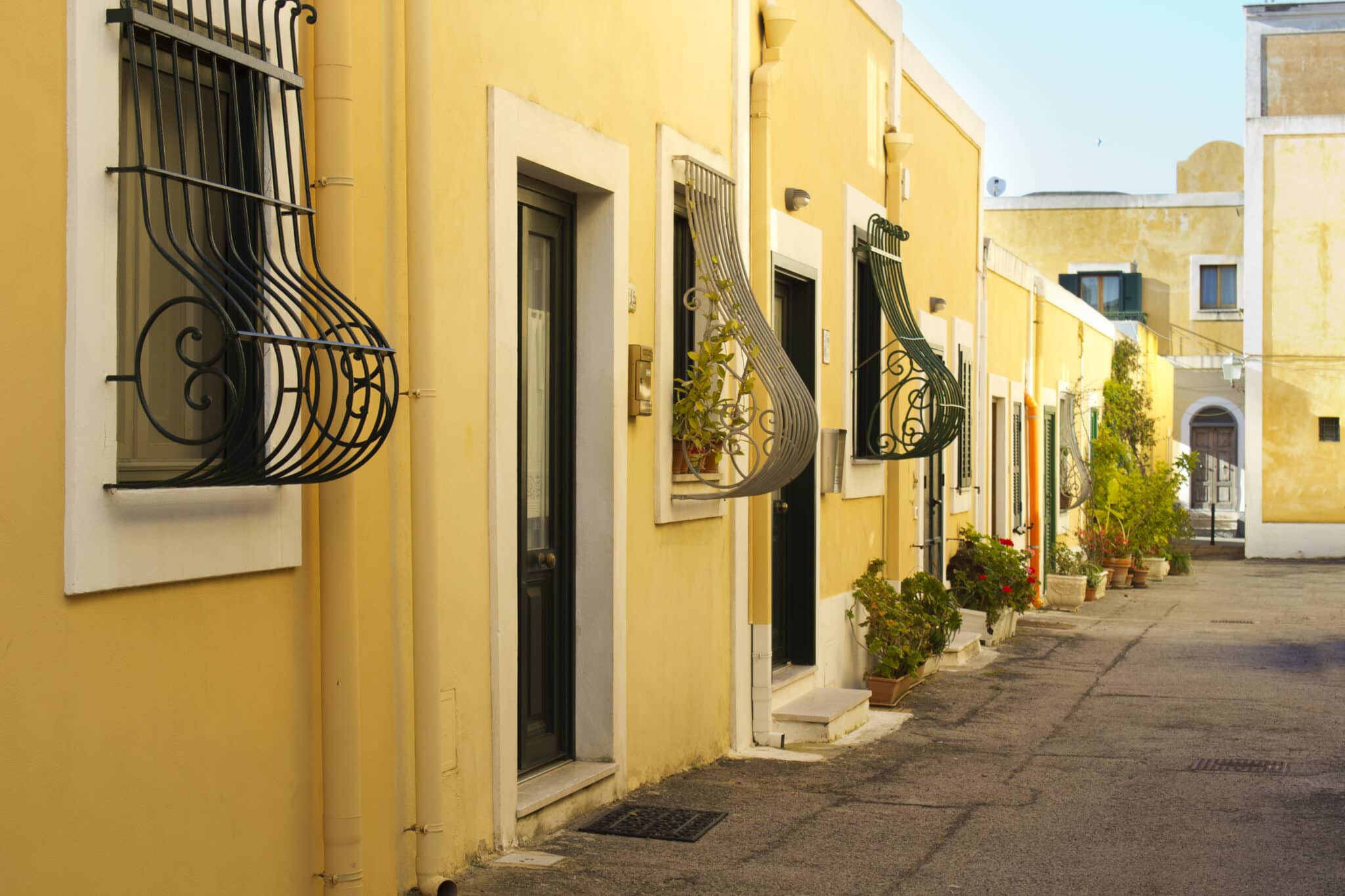 Strada tranquilla con case gialle e piante